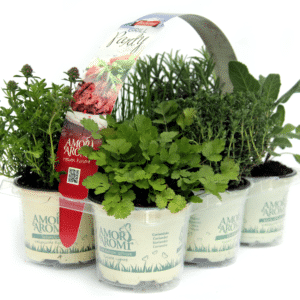 Mix barbecue 12 erbe aromatiche